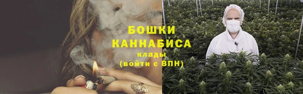 эйфоретик Гусь-Хрустальный
