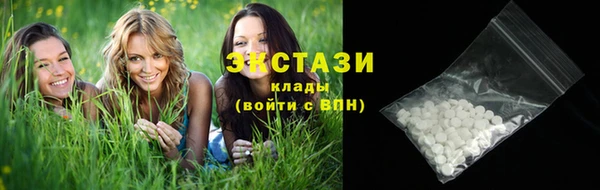 эйфоретик Гусь-Хрустальный