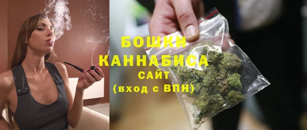 прущие грибы Снежногорск