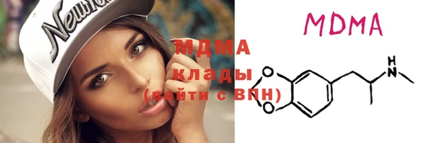 эйфоретик Гусь-Хрустальный