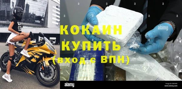 эйфоретик Гусь-Хрустальный