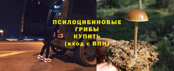 эйфоретик Гусь-Хрустальный