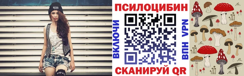Галлюциногенные грибы Psilocybe  купить наркотики цена  kraken онион  Жуковка 